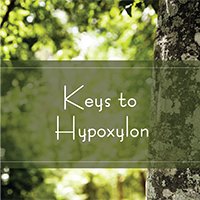 Keys to Hypoxylon Keys to Hypoxylon